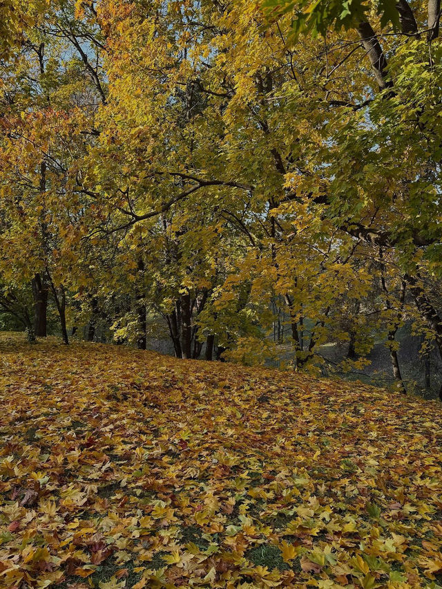 가을 모스크바 탐험 🍂