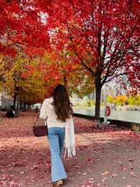 가을 토론토 시내 탐험 🍂