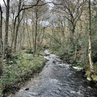 A Yorkshire Walk
