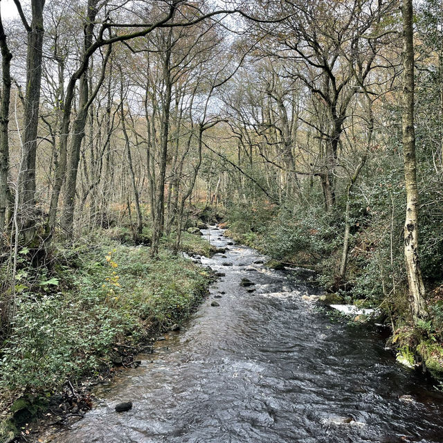 A Yorkshire Walk