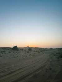 Dubai Desert Safari: A Thrilling Adventure in the Dunes! 🏜️🐪✨