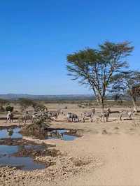 Lake Nakuru National Park, Kenya