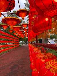The Year of the Snake 🐍🇨🇳