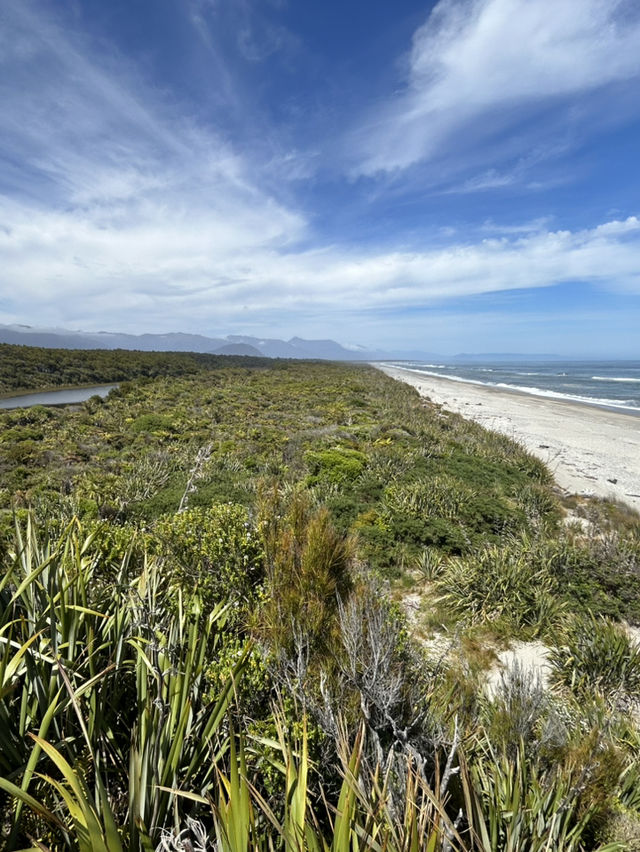 🌊 Wild & Untamed: Exploring New Zealand’s West Coast Beaches