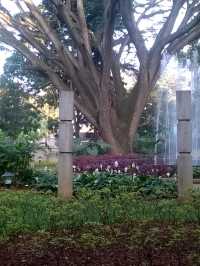 National Gallery of Modern Art Bengaluru: A Haven for Contemporary Art