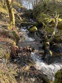 Waterfall in the woods 