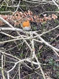 Nature walk in Rivington, Horwich 