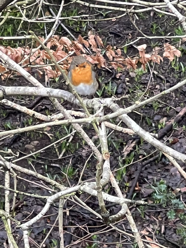 Nature walk in Rivington, Horwich 