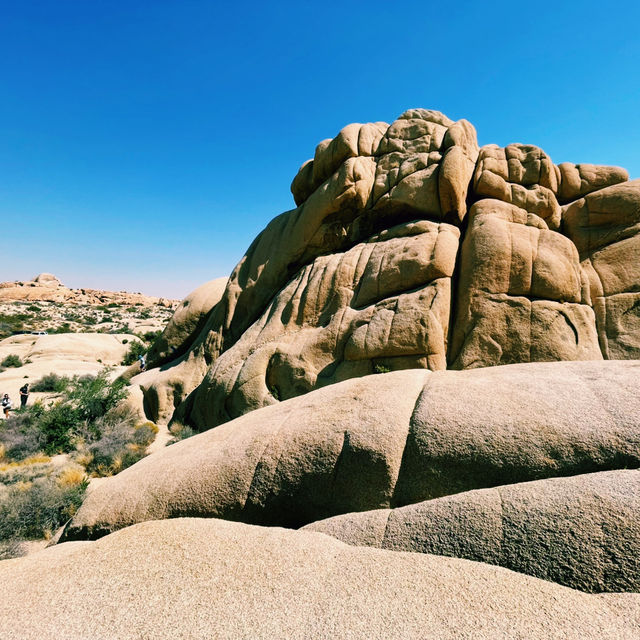 🌵 Top Must-See Landmarks in Joshua Tree National Park 🌅