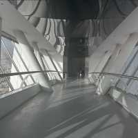 Sky-High Wonders: The Kingdom Tower Sky Bridge Experience 🌆✨