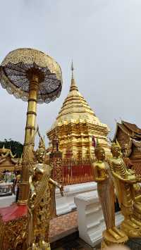 Temples, Nature & Cafés: Why Everyone Falls for Chiang Mai 🏯🌿☕