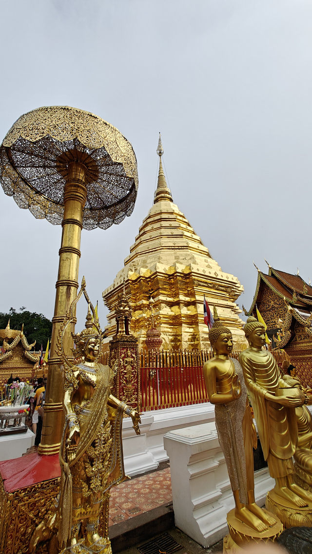 Temples, Nature & Cafés: Why Everyone Falls for Chiang Mai 🏯🌿☕