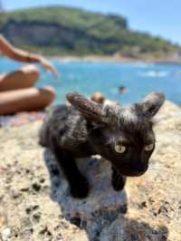 The beach of the portovenere