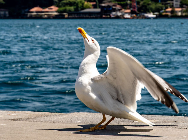 Seaside walk in Istanbul 