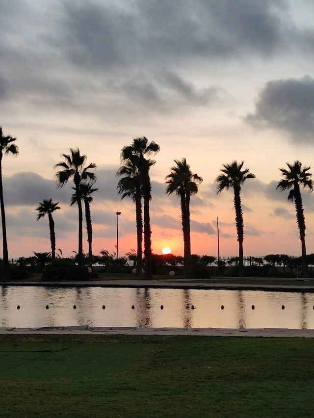 Hello Casablanca: Chaos, Calm, and Color
