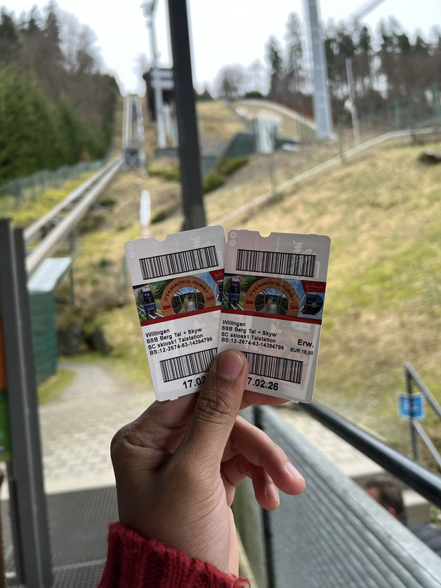 Above the trees, beyond the ordinary — welcome to Skywalk Willingen 🇩🇪🌉🌲 