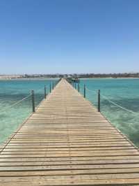 Marsa Alam – Egypt’s Hidden Gem