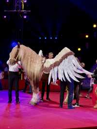 Karlsruhe Weihnachtscircus: Where Holiday Magic Meets Spectacular Wonder! ✨🎪  