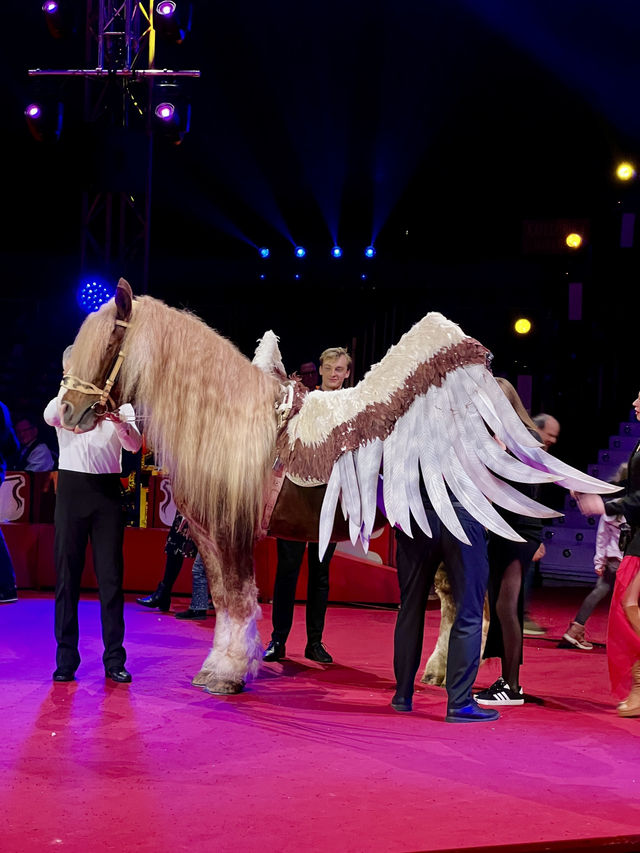 Karlsruhe Weihnachtscircus: Where Holiday Magic Meets Spectacular Wonder! ✨🎪  