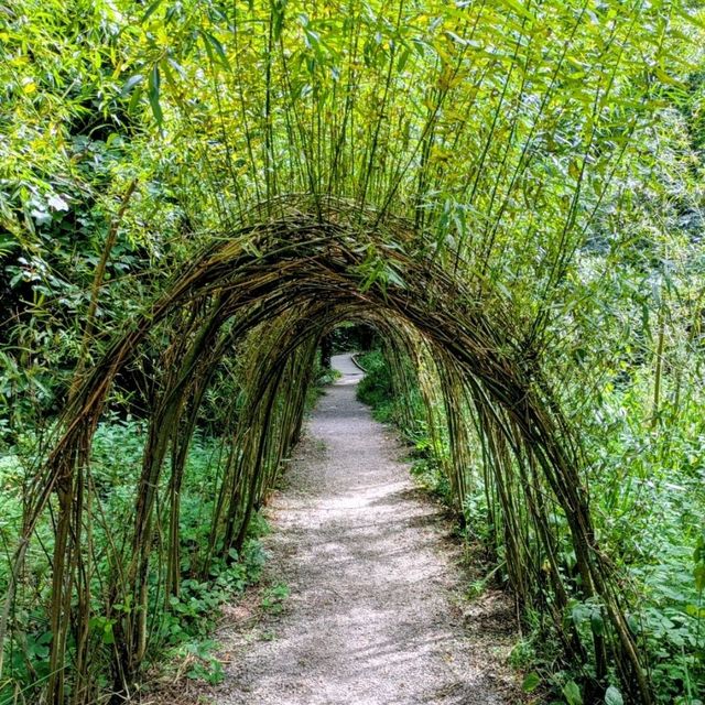 The best way to soak up the rare Irish sun 😎🇮🇪 The best way to soak up the rare Irish sun 😎🇮🇪