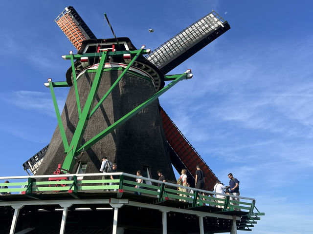 🇳🇱 荷蘭桑斯安斯風車村(Zaanse Schans)🐄 🇳🇱 荷蘭桑斯安斯風車村(Zaanse Schans)🐄