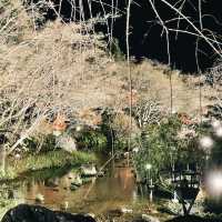 Tokyo to Nagoya: Christmas Lights & Winter Magic Day Trip