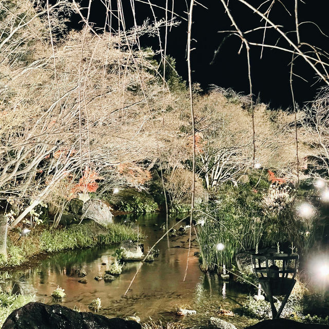 Tokyo to Nagoya: Christmas Lights & Winter Magic Day Trip