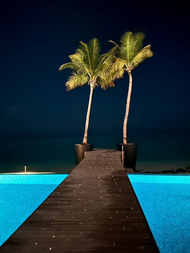 Avani+ Fares Maldives — Where Modern Vibes Meet Wild Ocean Magic