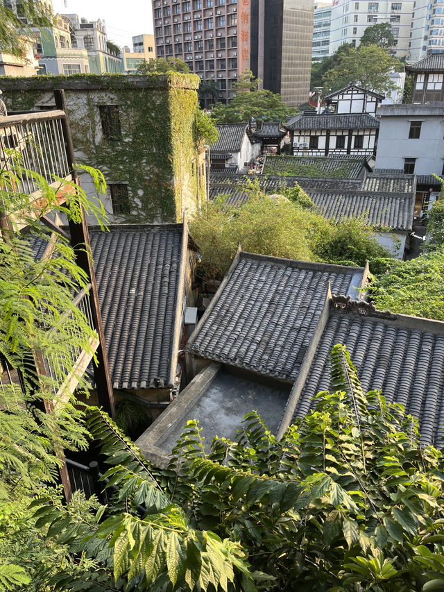 Hidden Shenzhen🌿🧋🍲🧧