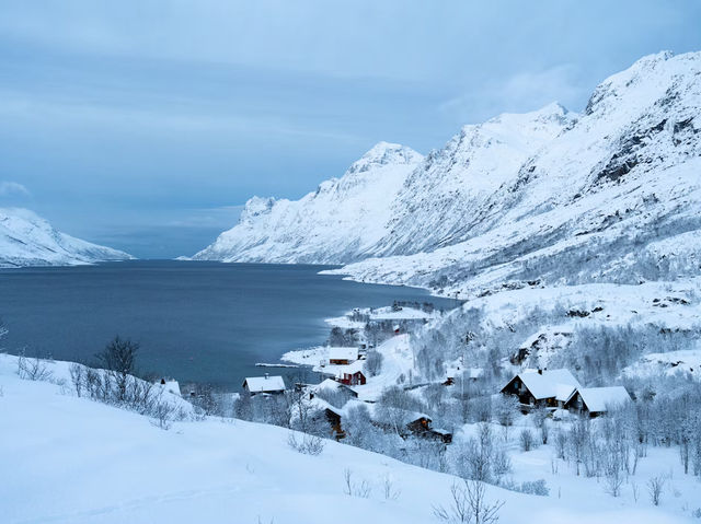 Under the Northern Lights in Tromsø 🌌