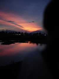 🇻🇳🌾 MISS HOI AN CAFE — секретный спот на рисовых полях