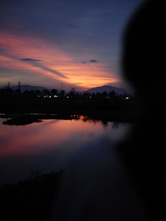 🇻🇳🌾 MISS HOI AN CAFE — секретный спот на рисовых полях 🇻🇳🌾 MISS HOI AN CAFE — секретный спот на рисовых полях