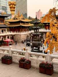 Shanghai Day Trip Itinerary