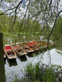 Cambridge Travel Guide: What to See in One Day