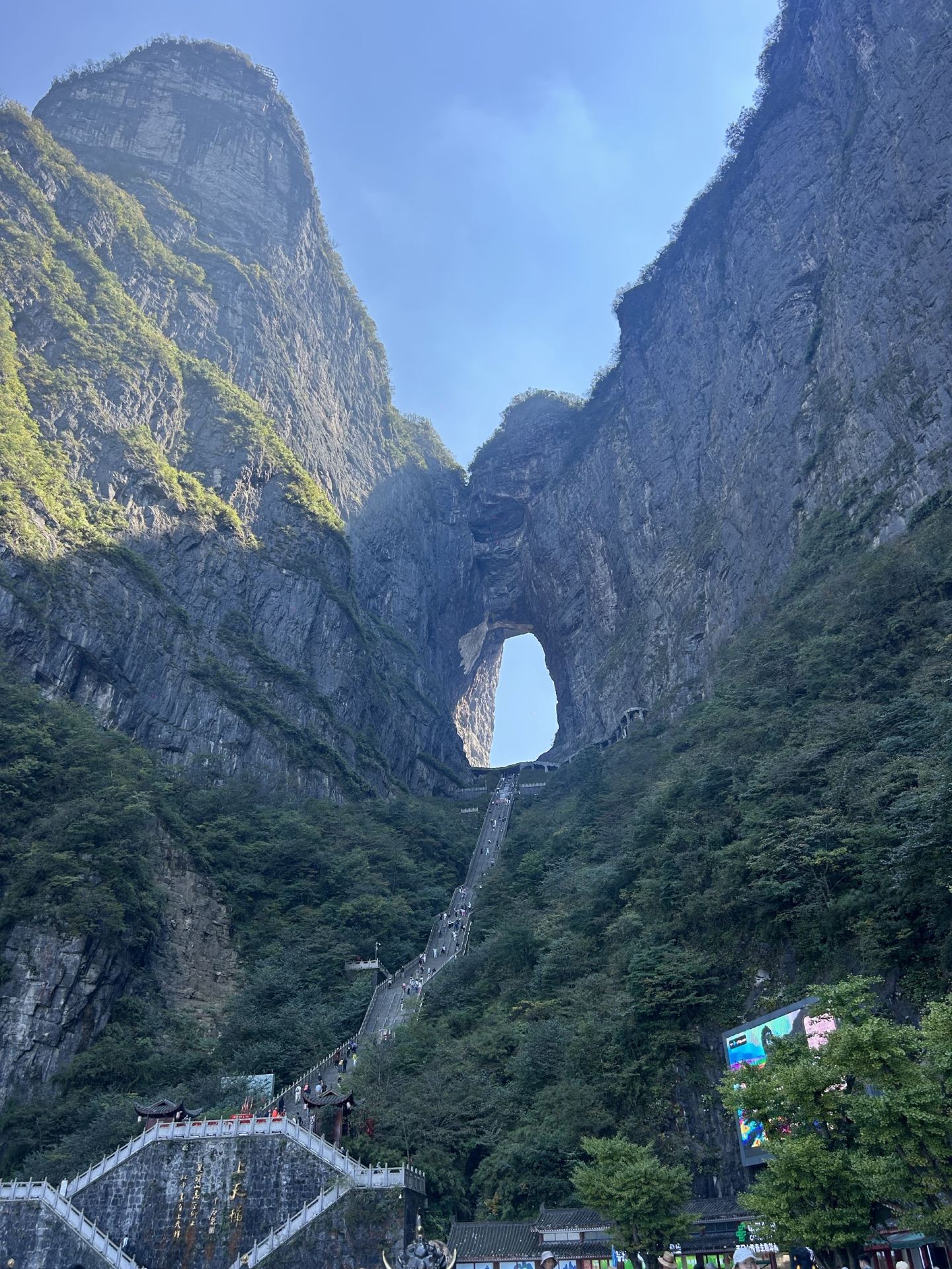 Unforgettable Views and Seamless Adventure at Tianmen Mountain National Forest Park