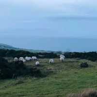 Carrick Hill in Scotland🏴󠁧󠁢󠁳󠁣󠁴󠁿