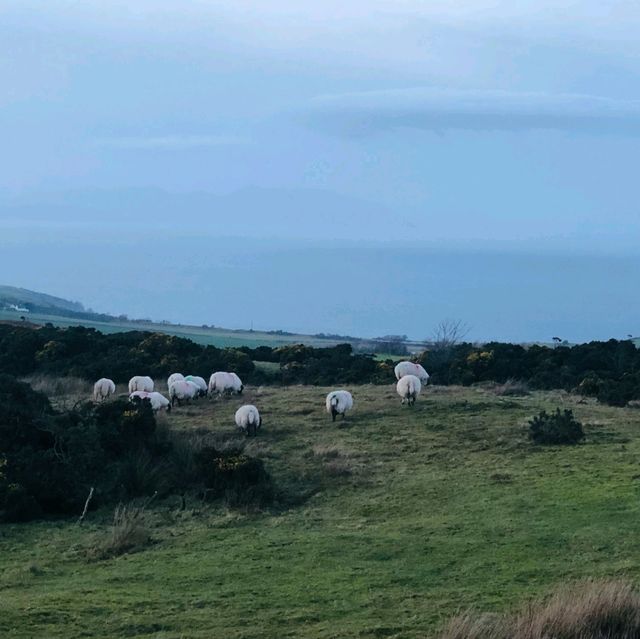 Carrick Hill in Scotland🏴󠁧󠁢󠁳󠁣󠁴󠁿