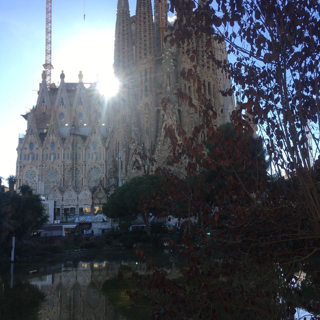 Beautiful Barcelona!