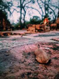 Ayutthaya: Amidst the hustle and bustle of the world, as the sun sets and the journey comes to an end, the glory of a hundred years is but a fleeting cloud of smoke.