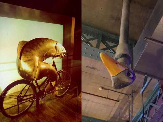 Irish Manor | Trinity College | Guinness Brewery Museum | Kildare Village Shopping Center