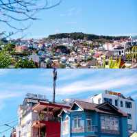 From Ho Chi Minh to Dalat, I fell into a world of colors