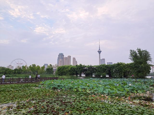 夏天的水上公園，真的是yyds