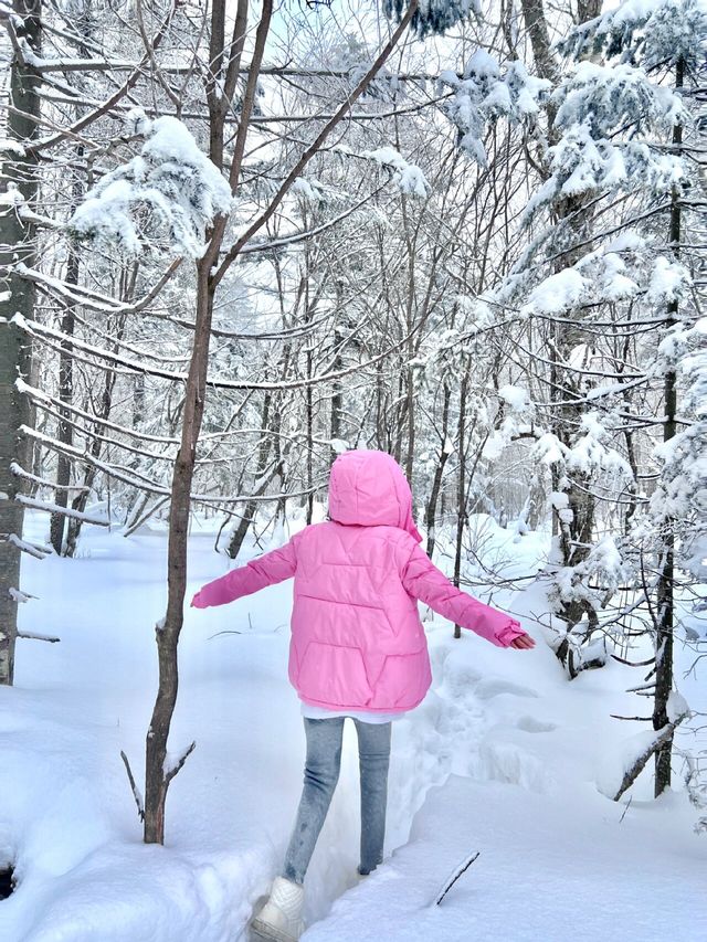 長白山雪嶺闖入童話世界看麋鹿live圖