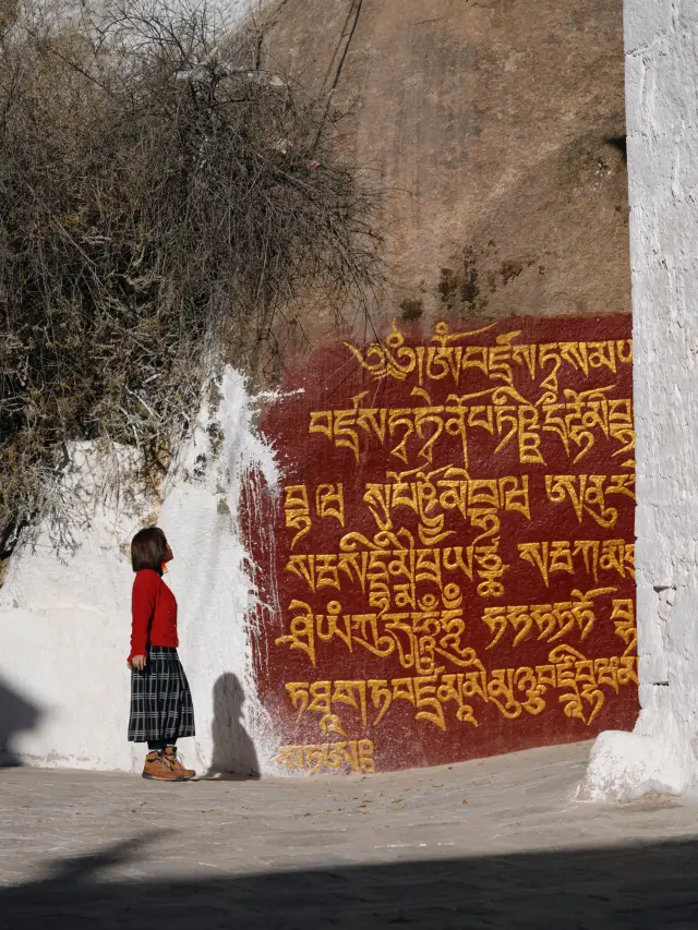 The sunshine will guide your way, encounter beauty in Sera Monastery