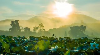Guangchang, the first lotus village in China