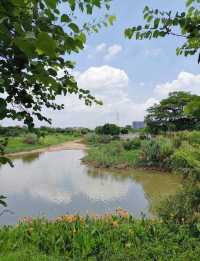 佛山遛娃好去處——免費寶藏公園中山公園！
