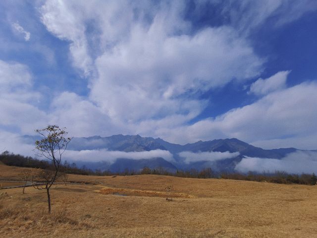 臥龍幹海子，踩滿地松針，看山頂最孤獨的樹