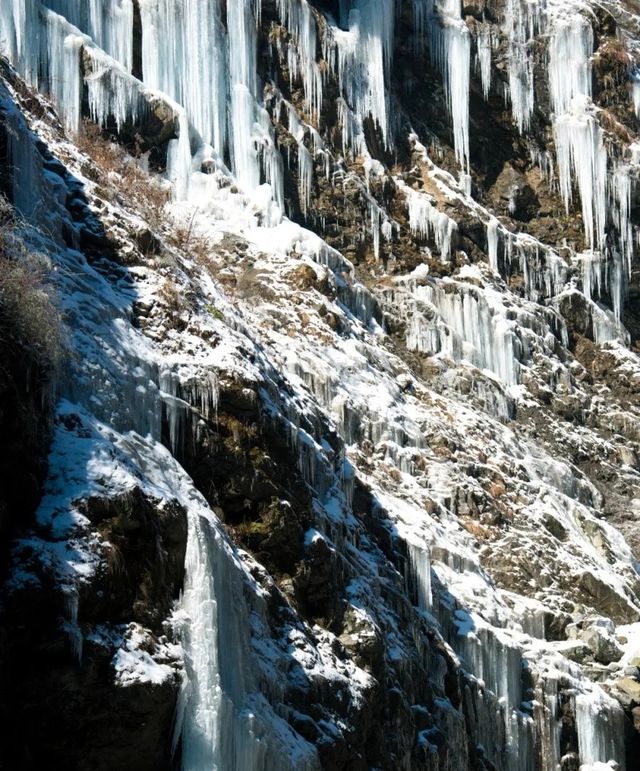 峽谷冰瀑、玉樹凌花，冰雪奇葩燕子溝