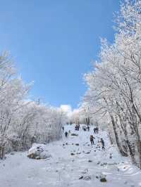 西山島丨一年一度的聖誕節就快到了，給大家帶來最實在的優惠活動