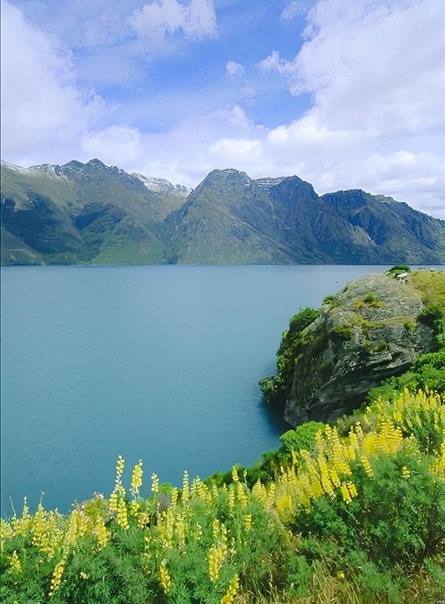 新西蘭純淨的治癒之國——南島之旅！